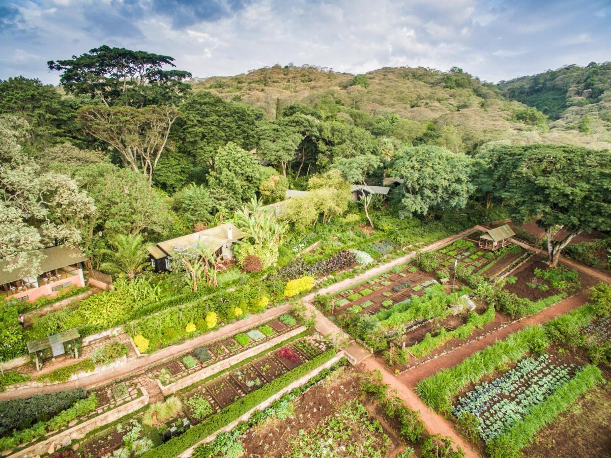 Gibb'S Farm Hotel Karatu Luaran gambar
