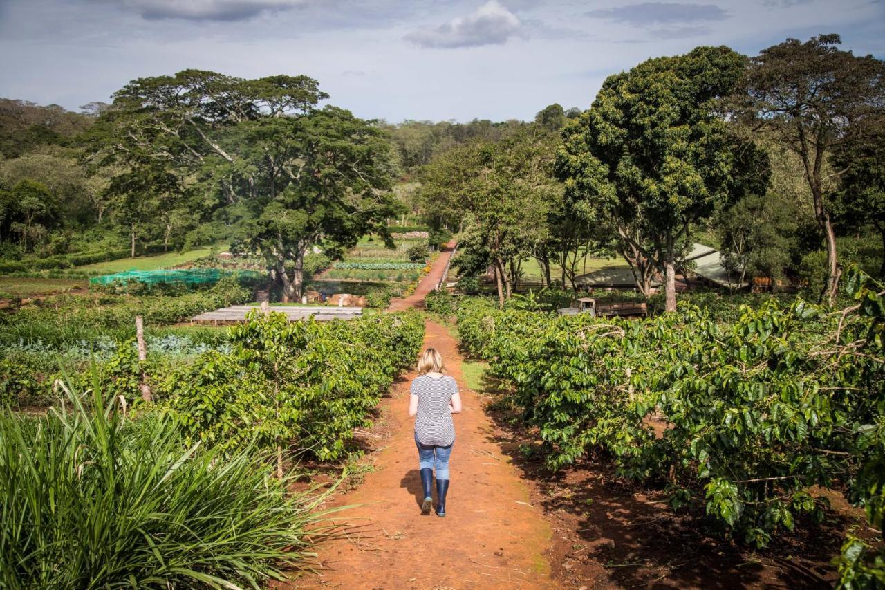 Gibb'S Farm Hotel Karatu Luaran gambar